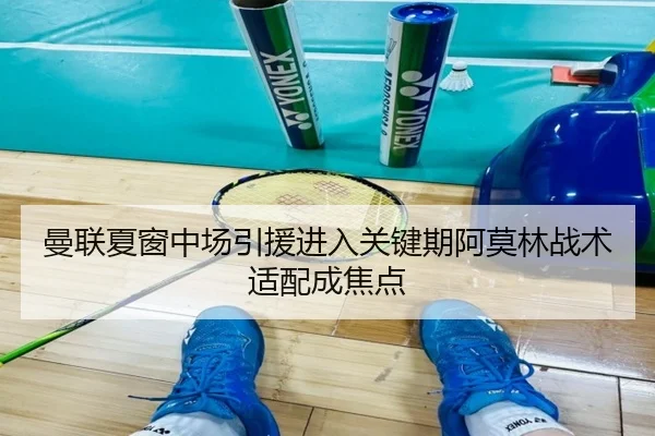 曼联夏窗中场引援进入关键期阿莫林战术适配成焦点